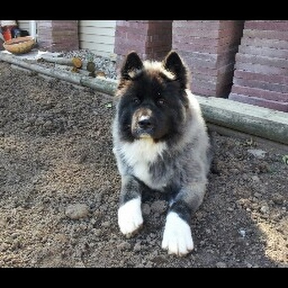 Meet your Posher, Paula - Picture 1 of 1